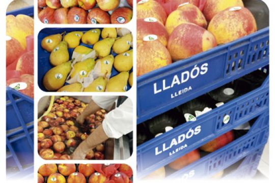 Fruita de proximitat
