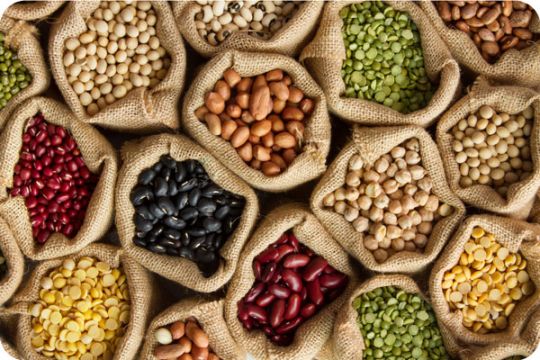 Proteína Vegetal